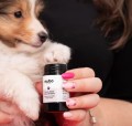 MUBO Paw & Nose naturalne masełko do łap i nosa w sztyfcie, dla psa i kota, 25g