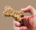 Mini kość naturalna z rumiankiem (0,5 %) / 47 szt. / 1kg