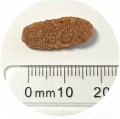 JK Delikan naturalny makaron instant z marchwią 3kg 