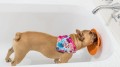 LickiMat® Splash z przyssawką, fioletowa