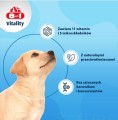 8IN1 Vitality Multiwitaminy dla szczeniąt 100 tabletek 