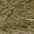 Naturalne siano, 2 kg, karma dla gryzoni i królików / JK Natural