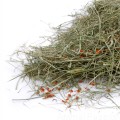 Naturalne siano z marchewką, 2 kg, karma dla gryzoni i królików, JK Natural