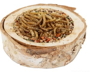 Vita Herbal Miseczka proteinowa dla gryzoni, 1 szt.