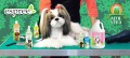 Espree Silky Show, szampon, 355ml