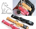 ZOLUX Smycz Mac Leather 10 mm / 1,2 m czerwona