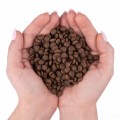 Lovi Food karma dla maltańczyka 1,5kg