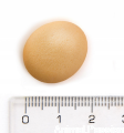 Mini BISZKOPTY, ciasteczka dla psów / 33% jaj / 120g