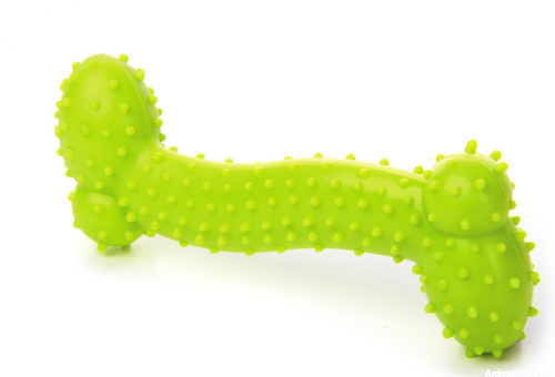 Kość TPR zielona, wytrzymała zabawka, 10cm