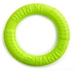 MAGIC RING wytrzymała zabawka z pianki EVA, 17 cm zielony