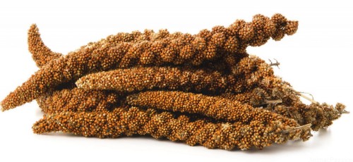 Proso SENEGALSKIE w naturalnej postaci kłosów 200g
