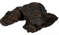Maced 100% NATURA, Wątroba wołowa, 100g