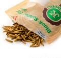 Suszone larwy CZARNEJ MUCHY, Black Soldier Fly Dried, 80 g, / 100% Bio